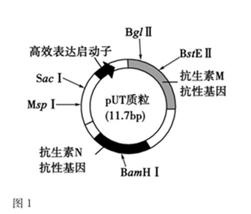 选修2-生物技术与工程-改编-发酵工程