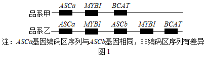 必修2-生物与进化-连锁与交叉互换题型五