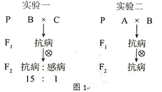 必修2-遗传与进化-基因连锁特异性标记