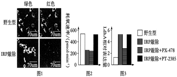 BYVYP({6LD67[1Y4M`$V[W5.png