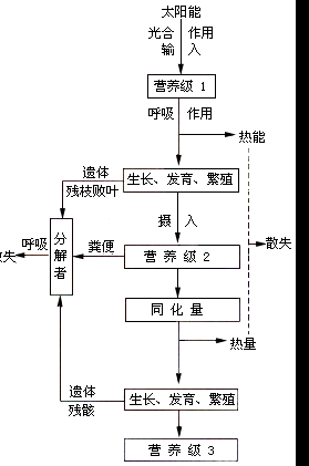 能量流动图解 - 百度.gif