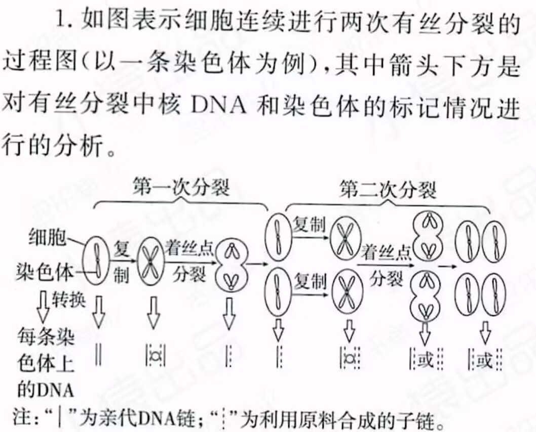 2UNN31~${%XI92`LY[05FGG_tmb.jpg